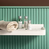 Champú acondicionador 30 ml - Aloesir