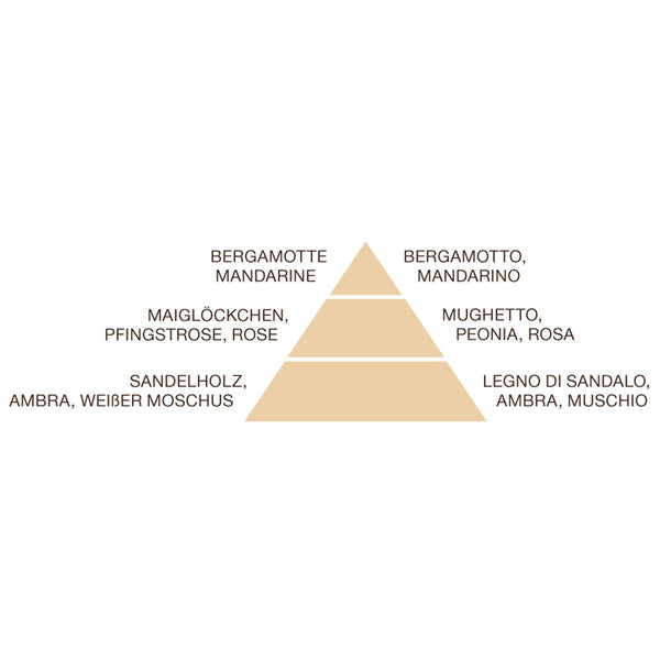 Körpercreme 40 ml Argania